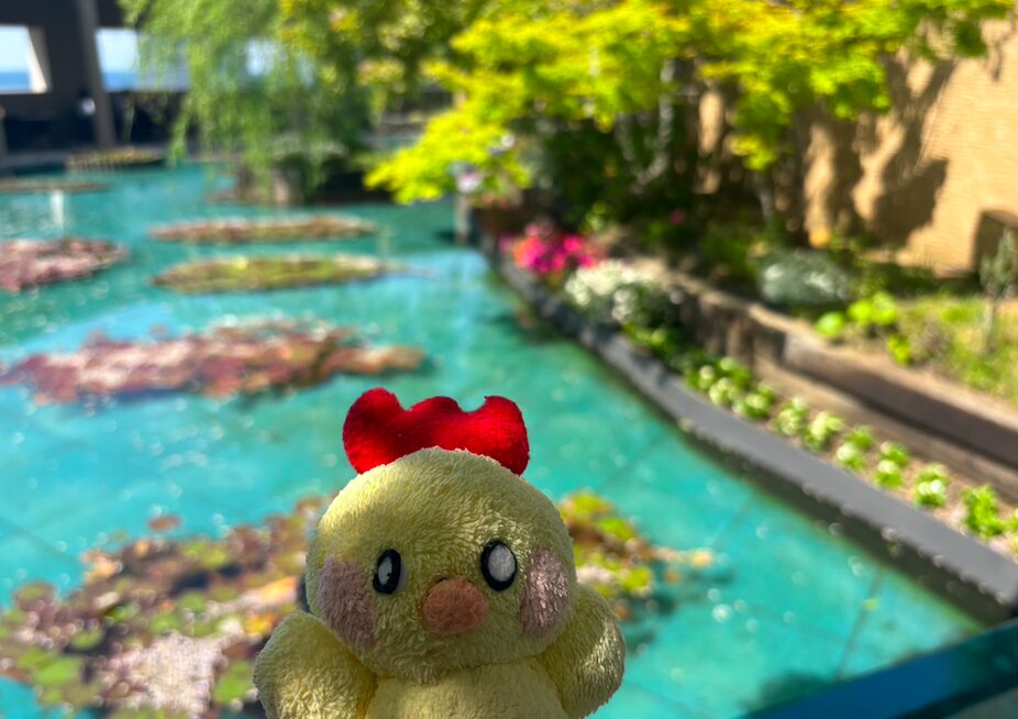 モネの睡蓮