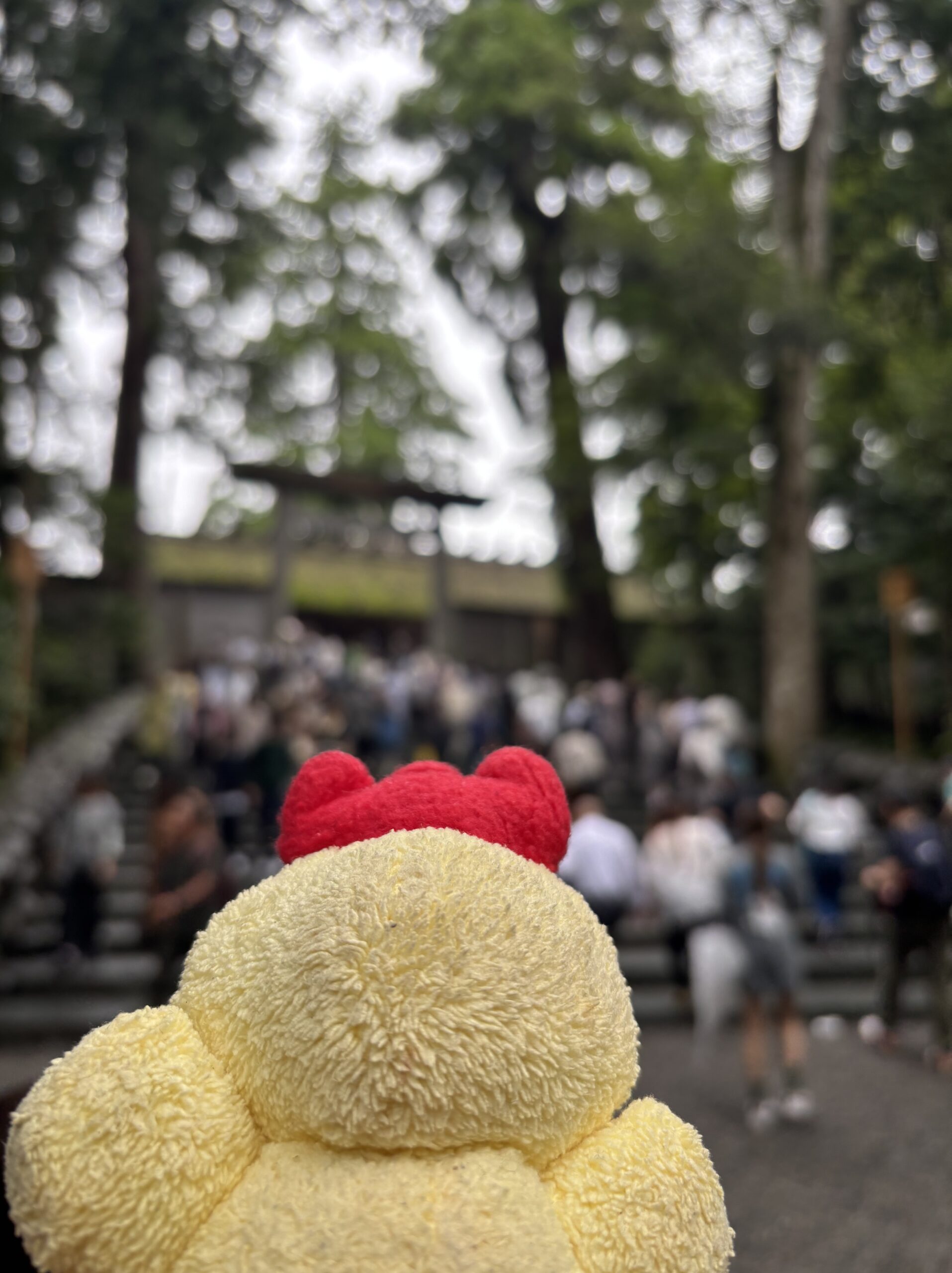 伊勢神宮内宮正宮